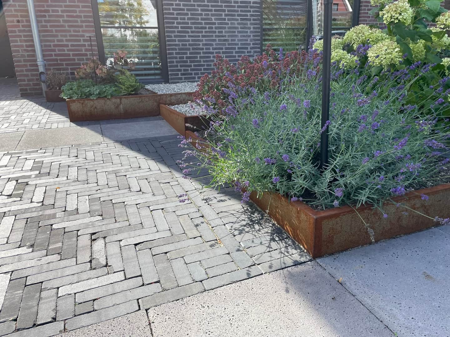 Aangelegde voortuin in Doorwerth door Van Rijbroek Hoveniers — foto 2 van 9