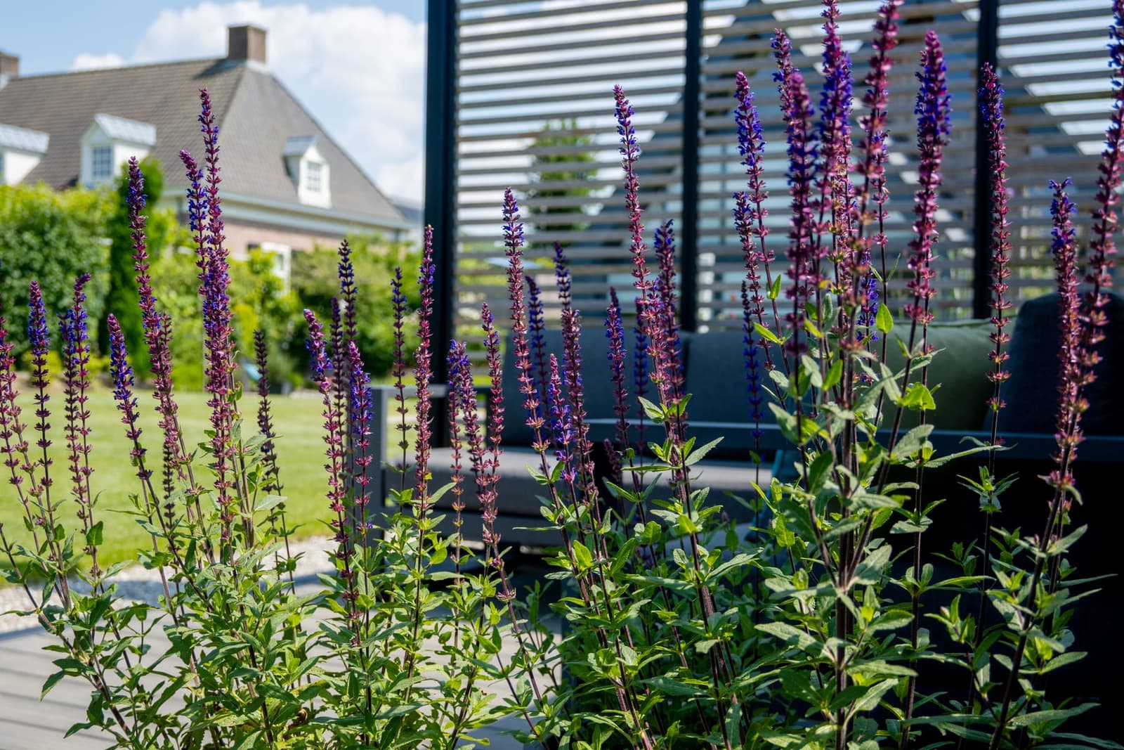 Aangelegde tuin in Heumen door Van Rijbroek Hoveniers — foto 7 van 13