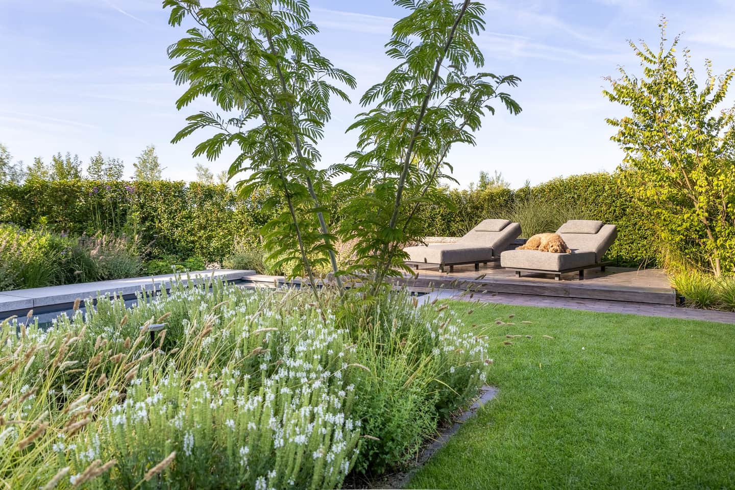 Aangelegde tuin met zwembad in Valburg door Van Rijbroek Hoveniers — foto 10 van 20