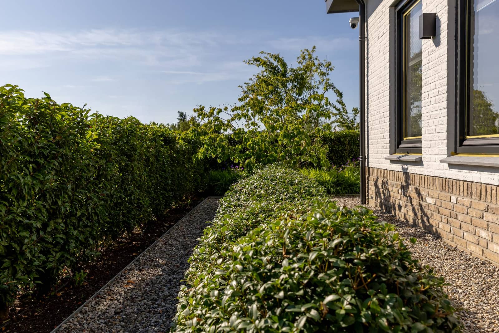 Aangelegde tuin met zwembad in Valburg door Van Rijbroek Hoveniers — foto 5 van 20